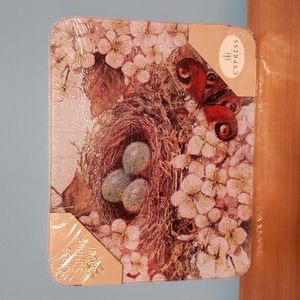 Cypress  glass surface saver, 10x8, birds nest and butterfly
